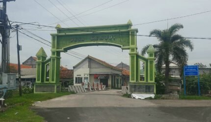 Desa Kemudi di Gresik, penghasil ikan utama, menghadapi kendala infrastruktur. Dari 800 ha wilayah, tambak menjadi penopang ekonomi, namun distribusi terhambat.